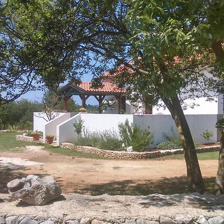 הוילה רוביני House Soni - 800 M From The Sea מראה חיצוני תמונה