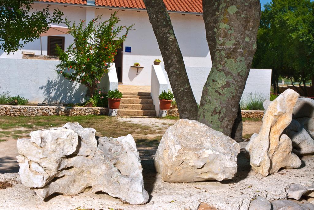הוילה רוביני House Soni - 800 M From The Sea מראה חיצוני תמונה