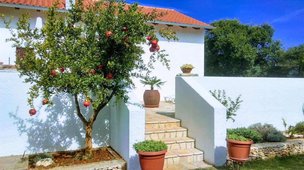 הוילה רוביני House Soni - 800 M From The Sea מראה חיצוני תמונה